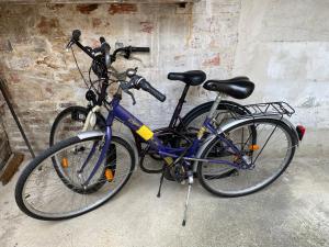 duas bicicletas estacionadas uma ao lado da outra contra uma parede em Le Loft Vintage Epernay avec Netflix, Vélos, Parking gratuit em Épernay