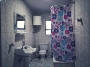een badkamer met een wastafel, een toilet en een douchegordijn bij Unique location, fully furnished flat in Cairo in Caïro