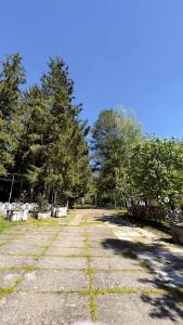 的住宿－Лісова Дача，一条土路,两边有树木
