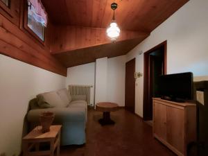 a living room with a couch and a tv at Ciasa Oriella in Cibiana
