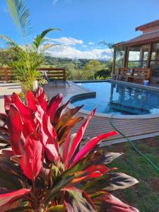 ein Resort mit einem Pool und einer roten Pflanze in der Unterkunft Chácara La belle de Jour in Piedade