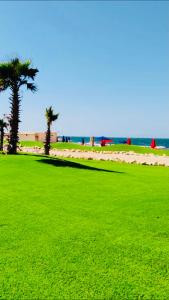 a green park with two palm trees and the ocean at Porto Said Resort Rentals in El-Garâb`a
