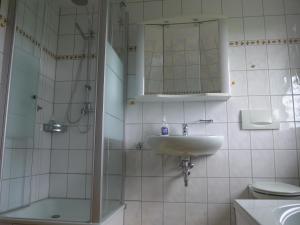 a bathroom with a sink and a shower at Ferienwohnung Ulbrich in Bautzen