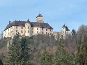 un grande castello in cima a una collina di Schöne Ferienwohnung in der Fränkischen Schweiz 