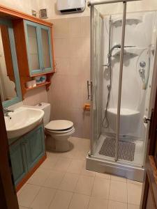 a bathroom with a shower and a toilet and a sink at La Villetta di Oulx in Oulx