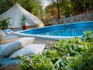 a swimming pool and some pillows on a table with plants at Rock Oak Camp in Imotski