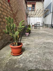 una planta en una maceta naranja en un patio en Apartman Sara en Višegrad