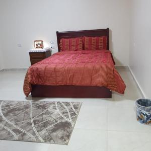 開羅的住宿－Andy Guest House，一间卧室配有一张红色棉被的床