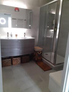 La salle de bains est pourvue d'un lavabo et d'une douche. dans l'établissement Les Berges Impressionnistes 1 chambre avec terrasse, à Lagny-sur-Marne