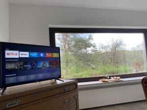 TV de pantalla plana en un tocador junto a una ventana en Schöne Ferienwohnung mit Waldblick in Dillenburg, en Dillenburg
