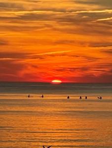 a group of surfers in the ocean at sunset at SURF HOUSE DREAMERS COAST in Klaipėda