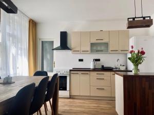 Kuchyň nebo kuchyňský kout v ubytování Apartmán Teplice nad Metují + 12 fotografií
