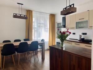 - une cuisine et une salle à manger avec une table et des chaises dans l'établissement Apartmán Teplice nad Metují, à Teplice
