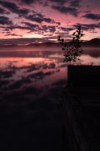 a sunset over a body of water with a plant at Pimishka Chalet-Cottage-Studios in Bouchette