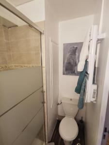 a small bathroom with a toilet and a shower at La Cabane in Chamonix-Mont-Blanc +6 photos