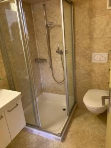 La salle de bains est pourvue d'une douche et de toilettes. dans l'établissement Cosy apartment in heritage protected swiss chalet, à Matten