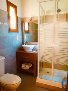 a bathroom with a shower and a toilet and a sink at Casa Stella in Olmeto