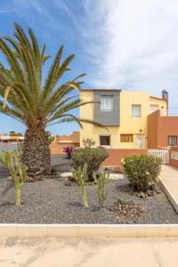 a palm tree in front of a house at Garden house with two terraces in Corralejo