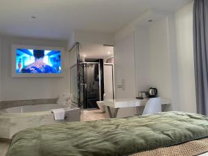 Hotel Cuevas - Adults Only的电视和/或娱乐中心
