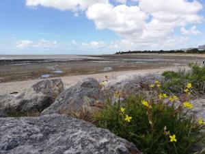 Fotografia z galérie ubytovania Joli appartement aux Minimes v destinácii La Rochelle