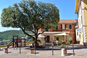 ein Baum mitten im Innenhof mit einem Gebäude in der Unterkunft Albergo Franzone in Tovo San Giacomo