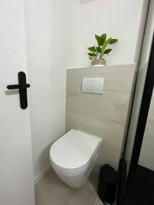 uma casa de banho com WC e uma planta na parede em La Douceur Roannaise - Parking privé proche gare em Roanne