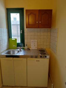 uma cozinha com um lavatório, um fogão e uma janela em Erodios Apartments em Kalyves