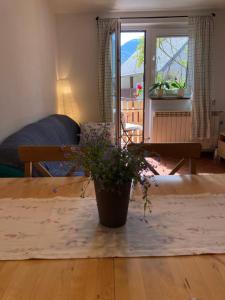 a living room with a potted plant on a table at Holiday Home Kristi in Bovec