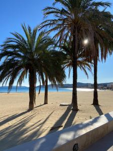 three palm trees on a sandy beach with the ocean at Atelierchic in Le Lavandou