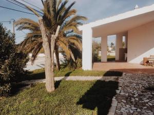 a palm tree in front of a white house at Casa da praia in Aljezur