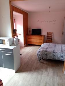 sypialnia z łóżkiem, kuchenką mikrofalową i telewizorem w obiekcie Cophi home Penguily 