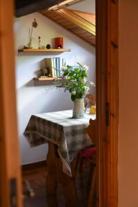 einen Tisch mit einer Vase mit einer Pflanze darauf in der Unterkunft B&B Va...lentina in Piavata