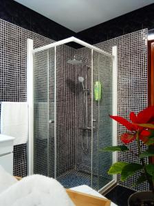 a shower with a glass door in a bathroom at Chalas place in Nazaré +31 photos