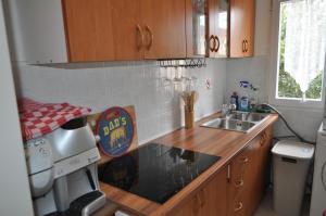 Kuchyň nebo kuchyňský kout v ubytování Familien Ferienhaus Vir Croatia 150m Strand Restaurant Einkaufen
