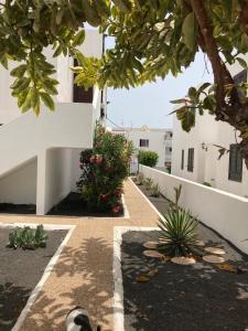 a courtyard of a house with a dog laying on the ground at OasisstudioLanzarote in Puerto del Carmen