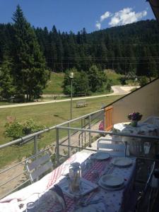 einen Tisch und Stühle auf einem Balkon mit Parkblick in der Unterkunft Mini Appartamento Malga Laghetto in Albergo Monte Rovere
