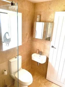a bathroom with a toilet and a sink at The Hayloft in Gestingthorpe +9 photos