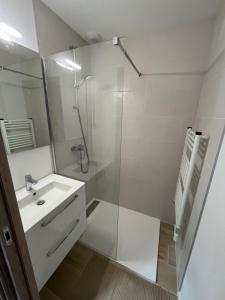 Kúpeľňa v ubytovaní APPARTEMENT AUX PIEDS DES PISTES DE SKI