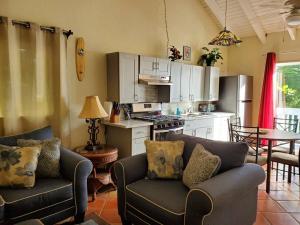 a living room with two couches and a kitchen at The Cottage at Villa Indigo in Charlotte Amalie