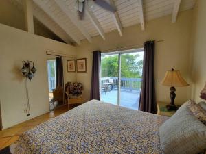 a bedroom with a bed and a sliding glass door at The Cottage at Villa Indigo in Charlotte Amalie