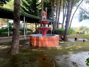 Afbeelding uit fotogalerij van Hotel Nature in Kolonjë +47 foto's