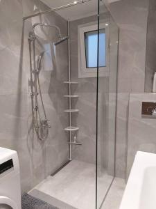 a shower with a glass door in a bathroom at Theos Apartment in Kanallaki
