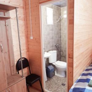 La petite salle de bains est pourvue d'une douche et de toilettes. dans l'établissement Wooden house ,,Tsunda", à Vardzia