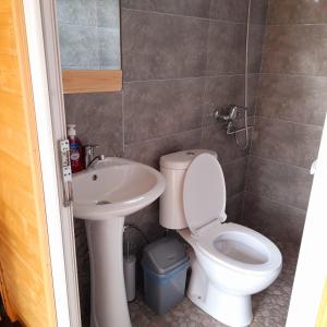 a bathroom with a toilet and a sink at Wooden house ,,Tsunda" in Vardzia