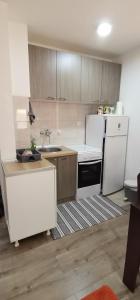 Kuchyň nebo kuchyňský kout v ubytování Apartman MAŠA