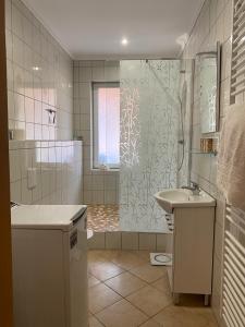 uma casa de banho com um chuveiro, um lavatório e um WC. em Griechischer Palast em Rabenau
