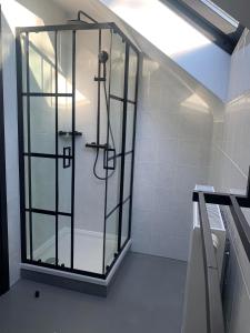 a shower in a bathroom with a glass door at Gites Douillets for the Family in Houyet