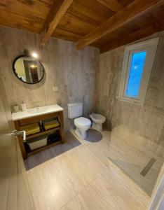 a bathroom with a toilet and a sink and a mirror at Maiten Apartamentos in San Carlos de Bariloche