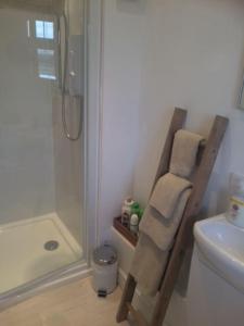 a bathroom with a shower and a towel rack next to a toilet at Cotswold edge guest suite with Broadway Hill view in Badsey