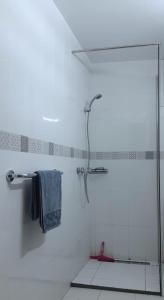 uma casa de banho com uma cabina de duche em vidro e uma toalha em Chez Ayedi - central and familiar atmosphere next to beach em Hammam-Plage